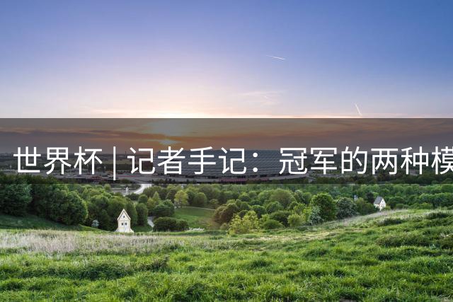 世界杯 | 记者手记：冠军的两种模样
