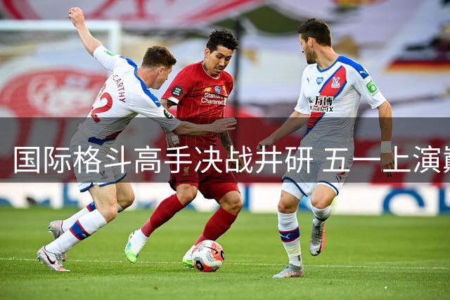 国际格斗高手决战井研 五一上演巅峰对决