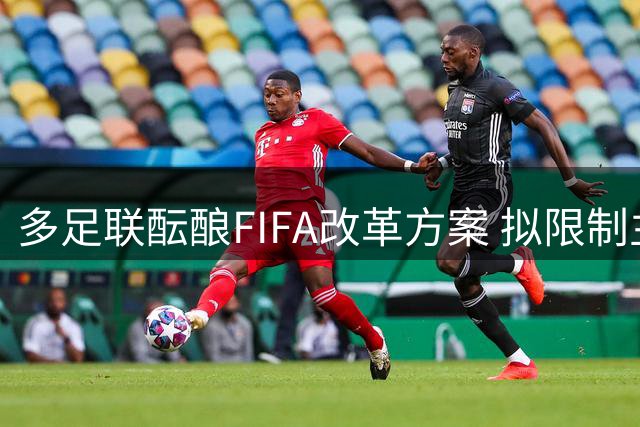 多足联酝酿FIFA改革方案 拟限制主席权限设立轮值机制
