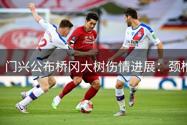 门兴公布桥冈大树伤情进展：颈椎无大碍将接受二次检查